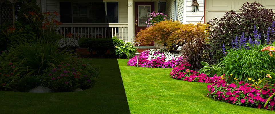 Comstock Park Landscapers